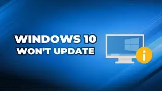 Why My Windows 10 won’t Update (4 Easy Ways)