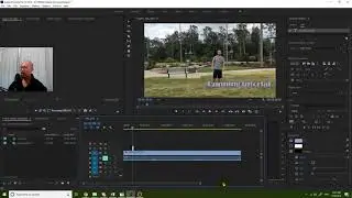 Premiere Pro CC 2018 - How to make text appear like Powerpoint