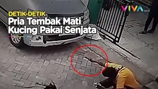 BRUTAL! CCTV Penembakan Kucing Sampai Mati, Ini Motifnya