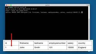 How to add INSERT a new record in SQLITE