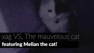 Xag Vs. The mauvelous cat