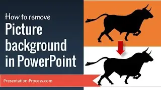 How to remove Picture Background in PowerPoint