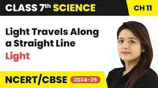 Light Travels Along a Straight Line - Light | Class 7 Science Chapter 11 | CBSE 2024-25