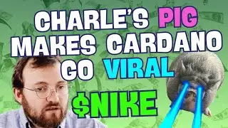 Charles Hoskinson's pig NIKE will onboard MILLIONS to Cardano! + Cardano GUIDE