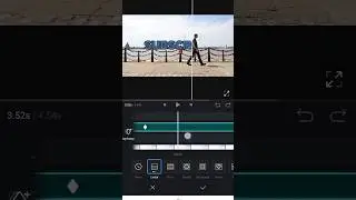 text reveal in vn | text reveal walk | 