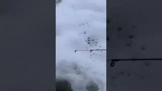 Не успел опустить УЖЕ КЛЮЕТ 
