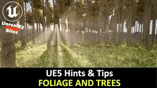 UE5 Hints & Tips - Foliage and Trees