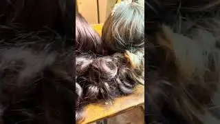 «Новые парички»