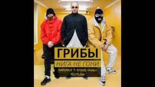 Грибы   Нига, Не Гони Bardrop x Steve Cavalo bootleg