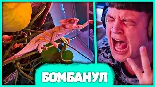 Пятёрка в ярости из-за Хамелеона 🤬 У Чепуха синдром Дауна? (Нарезка стрима ФУГА TV)