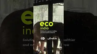 Eco India: Discover Tamil Nadu tribe’s craft using invasive plants to curb its growth