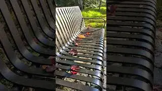 Осенняя Швеция. Autumn Sweden 2024. 