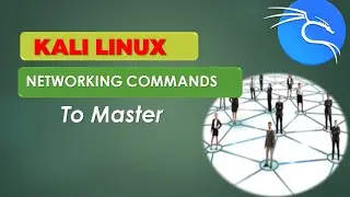 Networking Essentials in Kali Linux: Master ifconfig, ip, and ping