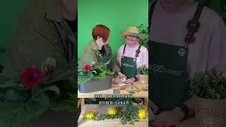 Сроки посева семян