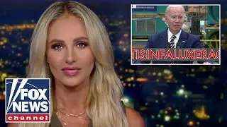 Tomi Lahren: The Democratic Party wants these videos on a loop to get rid of Biden