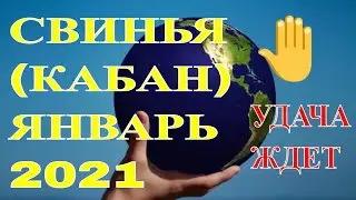 Свинья в Январе 2021 года. Восточный гороскоп для знака Кабан на Январь 2021 года.