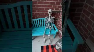 Halloween Full Size Skeleton Decoration