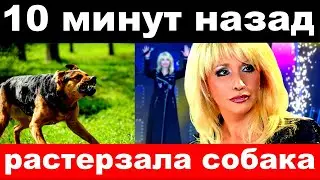 Tore to pieces by a dog - Canary dog attacked Irina Allegrova