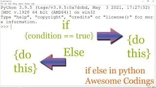 If Else In Python |PYTHON BASICS FROM SCRATCH | Awesome Codings