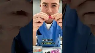 День в груминг-салоне: шведская семья; Коко Шанель, шоколадки 
