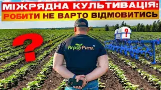 МІЖРЯДНА КУЛЬТИВАЦІЯ:КРН НА СМІТНИК ЧИ НА ПОЛЕ? ОГЛЯД АЛЬДАЗОР:ФАЗА 3 ПАРИ.