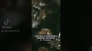 🌿🌼💞ЛЕТНИЙ АНТИПАРАЗИТАРНЫЙ КУРС, чтобы не болеть осенью