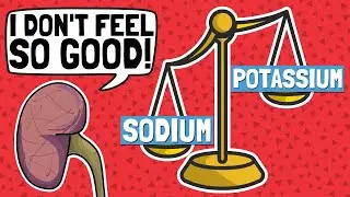 Is the Sodium-Potassium Ratio the Key to Better Health?!