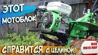 Этот мотоблок справиться с целиной Варяг 8150