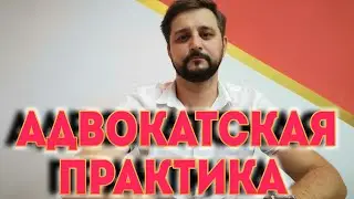Адвокатская практика. Николай Щербаков. Дело Болотниковой