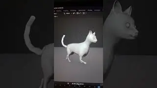 rigging a cat in blender  