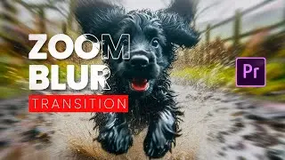 Smooth ZOOM BLUR Transitions  in Premiere Pro