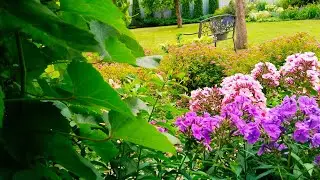 САД НА ПИКЕ ЛЕТА 🌈ЯРКАЯ РЕЛАКС ПРОГУЛКА по САДУ В ИЮЛЕ #garden #сад #цветы #дом