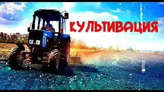Трактор Беларус КУЛЬТИВАЦИЯ КУЛЬТИВАТОР Трактор настоящий 