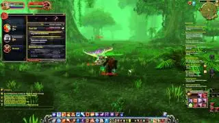 Лаги в WOW (Временная неуязвимость)