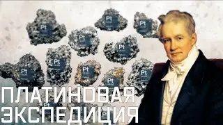 «Второй Колумб» Александр Гумбольдт. Чем закончились поиски российского Эльдорадо?