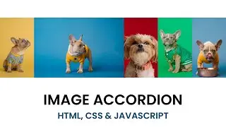 Image Accordion | HTML, CSS and Javascript Project