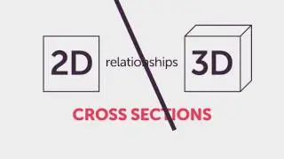 Cross Sections