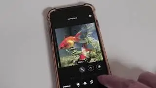 Как сделать фото квадратным на iPhone для Instagram (как обрезать фото)