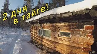 2 дня в тайге на зимовье! Или приключения друзей!