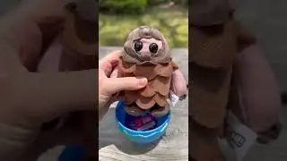 #asmr