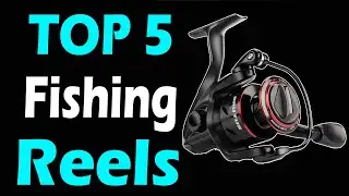 TOP 5 Best Fishing Reels Review In 2024