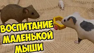 😍СИМУЛЯТОР МЫШИ🐁Мышонок вырос Ухаживаю за питомцем