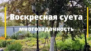 18 июня 2023 г. // Воскресная суета // Многозадачность дня