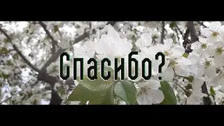 Спасибо?