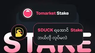 Tomarket မှာ $DUCK ရအောင်  Stake ဘယ်လို လုပ်မလဲ