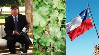 Chile | New World Wines