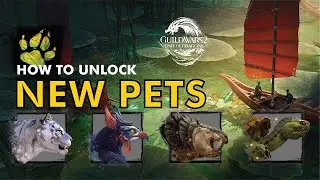 All New Ranger Pets in End Of Dragons - Guild Wars 2 Guide