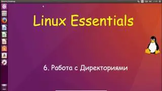 Linux для Начинающих - Работа с Директориями и самая опасная комманда Линукса