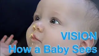 How a Baby Sees - Visual Memory