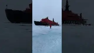 ТЕПОФОЛ НА СЕВЕРНОМ ПОЛЮСЕ ❗️